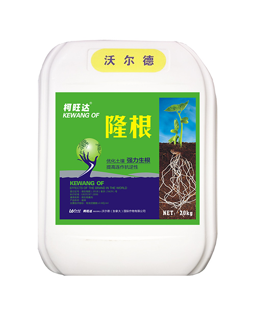 隆根