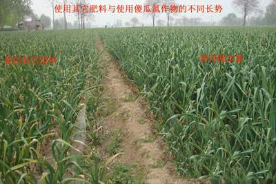 沃尔德新闻