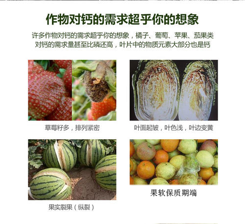 果树缺钙肥.jpg