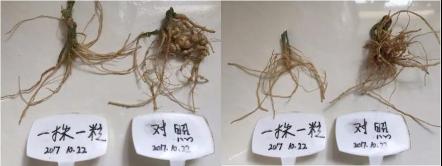 使用产品对比.jpg