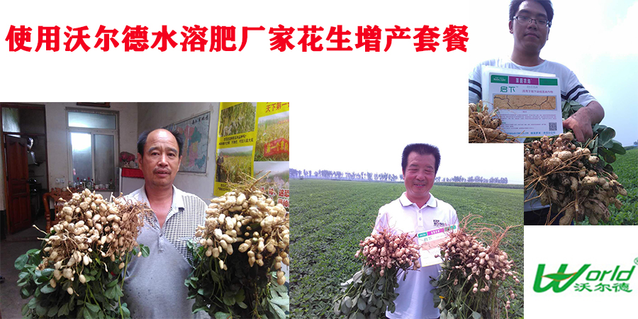 花生使用花生套餐.jpg