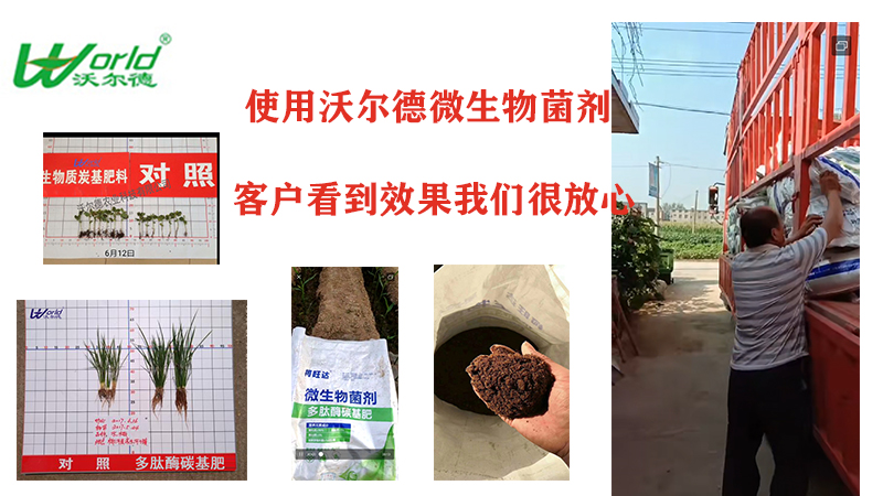 碳基肥发货.jpg
