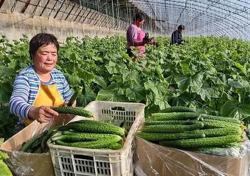 沃尔德科技