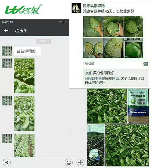 使用芸苔优钾客户反馈.jpg