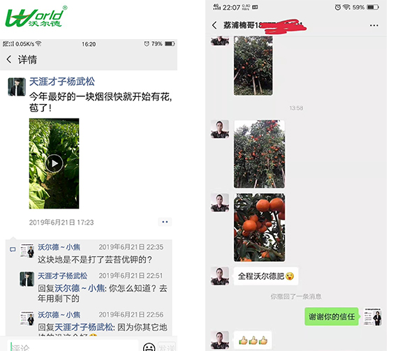 芸苔优钾客户反馈.jpg